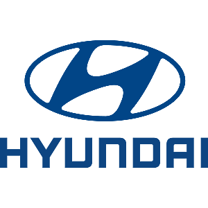  Unser Hyundai-Bestand in  Duisburg-Walsum
